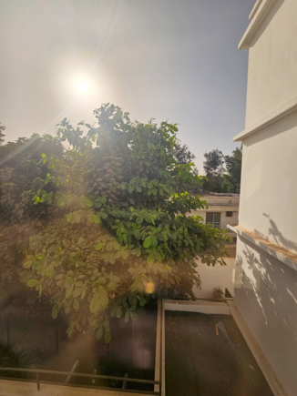 View from my room