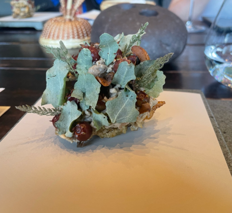 Changle Mushroom and red murtillas from Valdiva