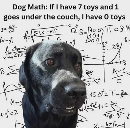 Probably doesn’t belong here, this is a true statement! 