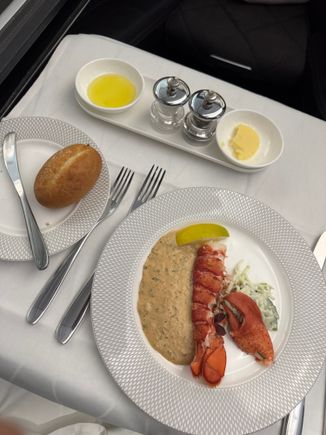 Allowed my partner to take the last lobster. Unsurprisingly we were given last choice, so was impressed that actually had one left. A few people seemed to skip much of dinner though. The lobster was pretty tasty from the little bit I tried, source decent too.