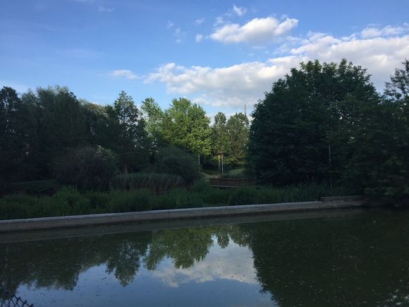 Park