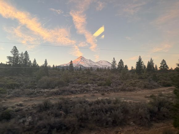 Washington 