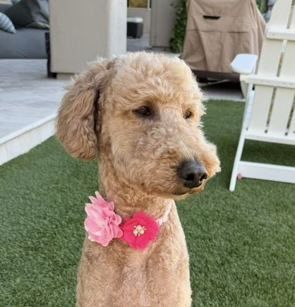 I think he must have been mesmerized by her bling from yesterday’s visit to the spa. 