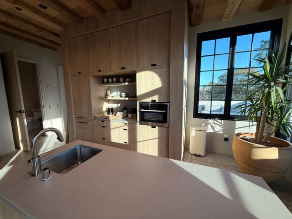 Kitchen area. See … no chairs! What about a bistro table in the corner instead of a big plant?