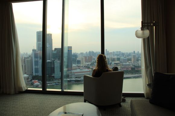 The View