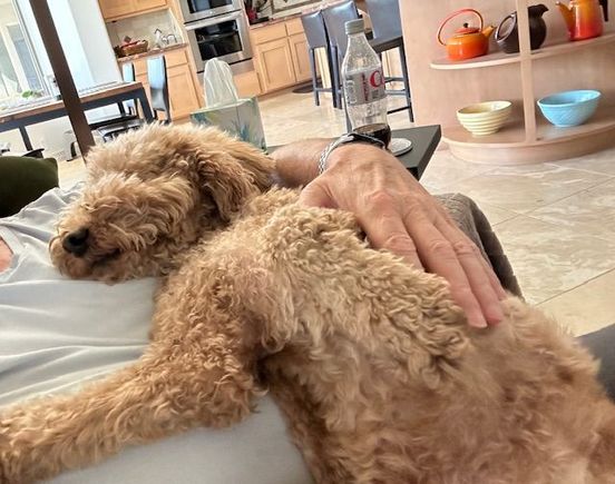 Nap time!