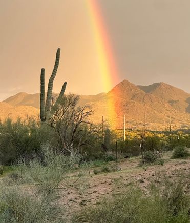 I've seen plenty of rainbows,  but never up so close that it looked as though I could have walked into it. 