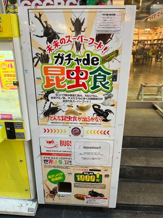 A insect vending machine in Asakusa, I did not try, so unsure if they were dead or alive. 

Best machine was the cheesecake one in Hakone, but the Chill Out drink saved my sanity in searing September heat and humidity. 