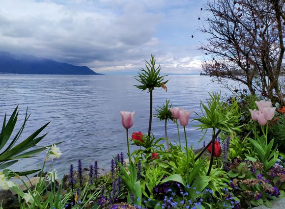The lakeside at Montreux on quite a cold day in April, with the icy "bise" blowing down the lake 