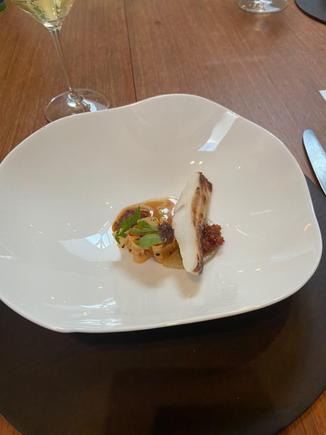 Turbot 