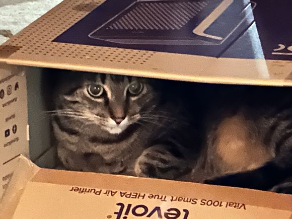 Can’t find Fred anywhere.  Nope definitely not where I can see him.