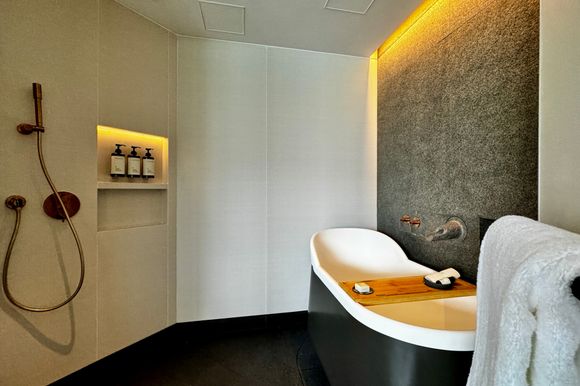 Bathroom (Bathtub and shower)