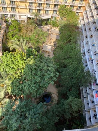 The garden court with garden view rooms 