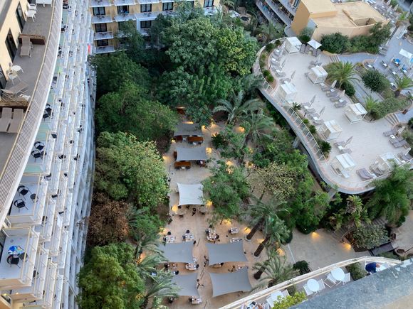Hotel's innercourt garden