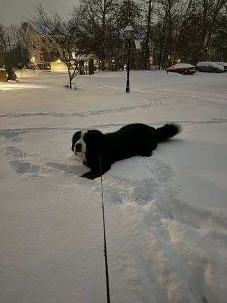 Toby is in his element in northern Virginia this morning