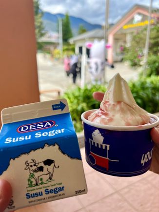 We tried the milk and frozen yoghurt, and it was… nothing special, actually!