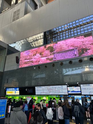Many automated machines and the queues went quickly 
