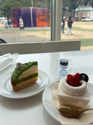 Obligatory tea and cake 