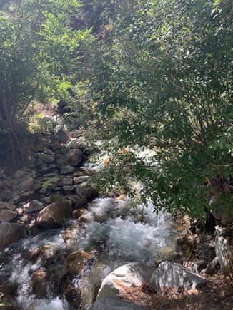 Pine Creek