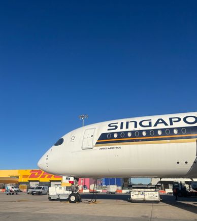 Singapore Airlines Airbus A350-900, 9V-SMW