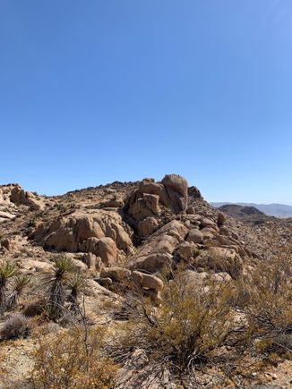 Made it to the top. 