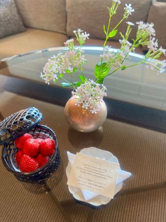 Welcome gift of strawberries 