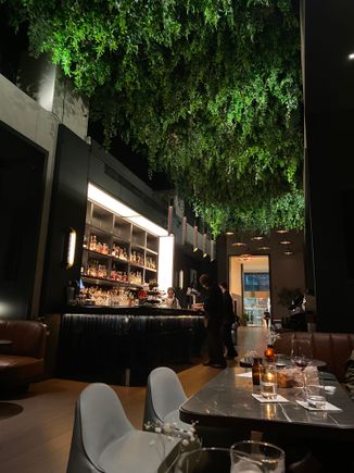 Lovely bar (Parker’s in morning for breakfast)