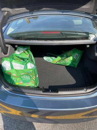 Trunk size - sorry, I did not specifically take a picture of the trunk