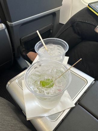 AA 3113 full PDB.   Friendly crew.   