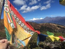 Hiking around Chele la Pass in Paro, Bhutan (4000 m altitude)