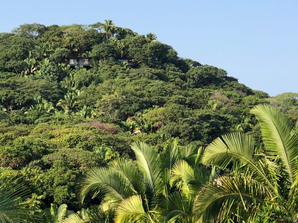 The tree houses are there...