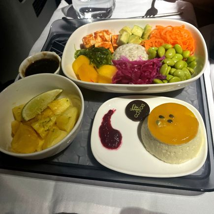 Standard Fruit and Veggie Bowl for second meal.