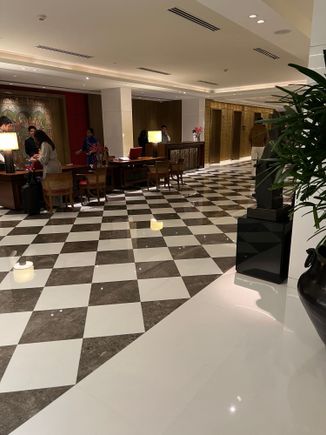 The lobby, check-in desk, concierge, and cashier 