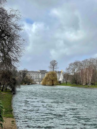 The palace from St. James Park.