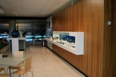 NZ DUD Lounge / Bar / Food Area