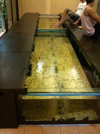 fish pedicure in BKK