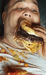 pig out