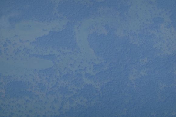 Tropical rain forest in Mozambique (from EK772 CPT-DXB)