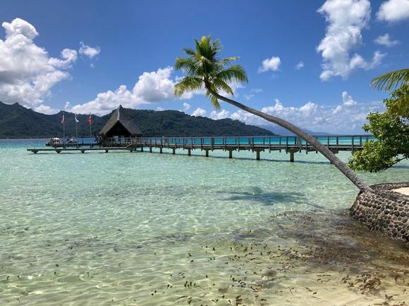 Main dock at Le Taha'a