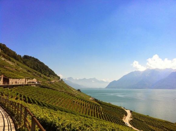 UNESCO World Heritage region - Lavaux