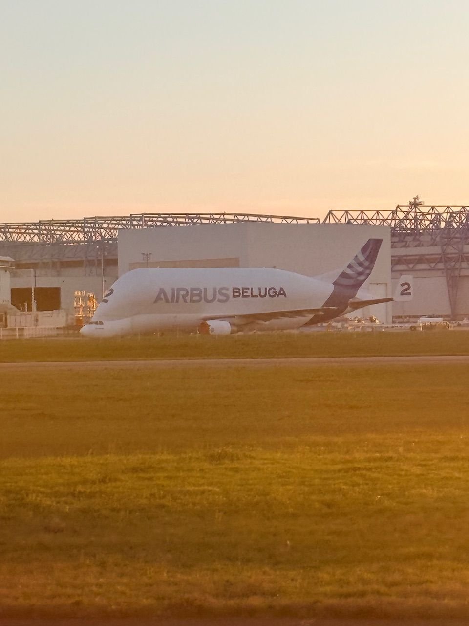 Beluga at TSL!