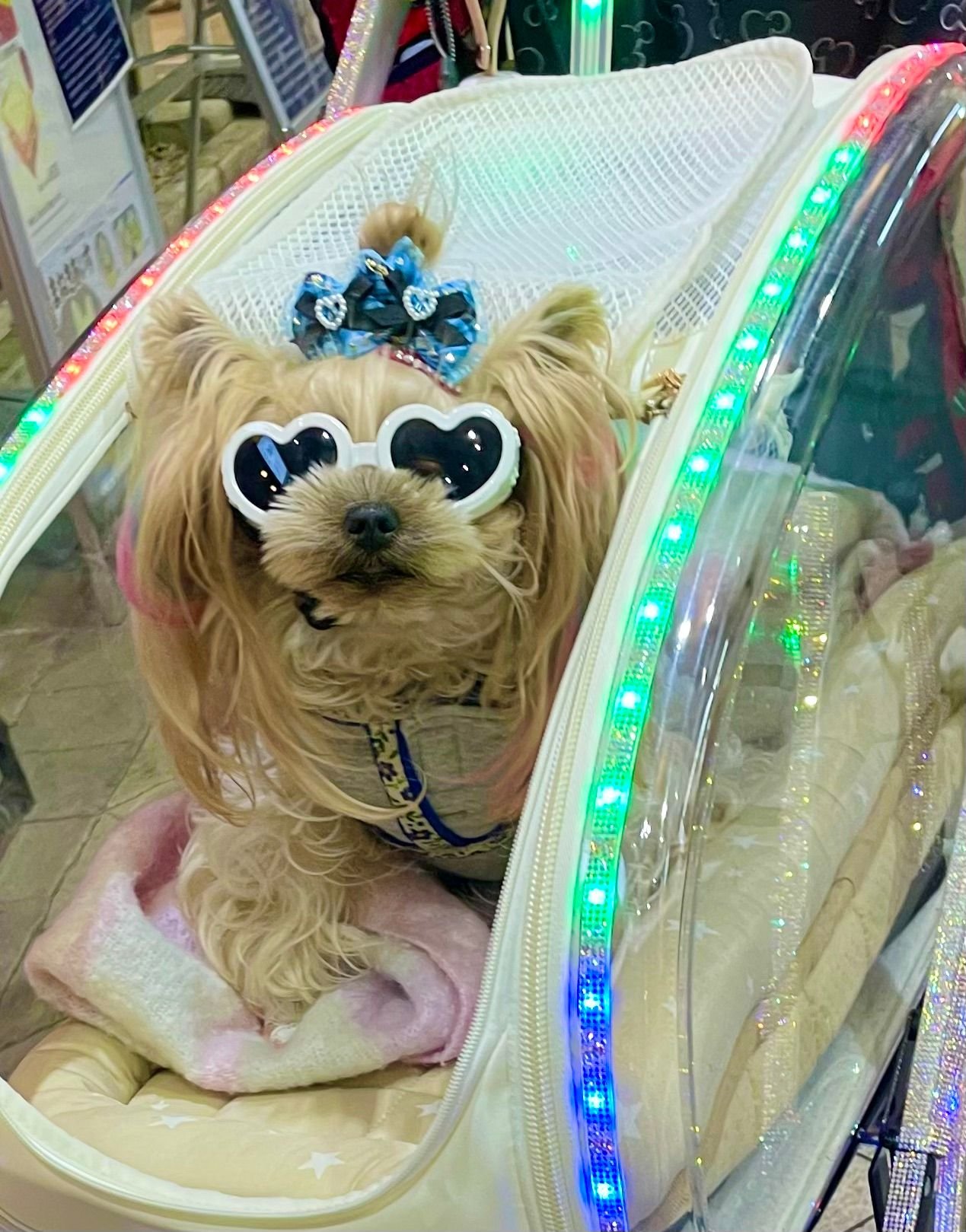 1st evening wanderings