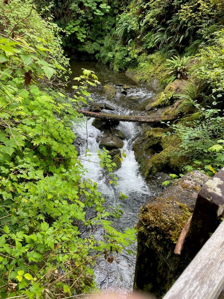 Waterfall on the trail