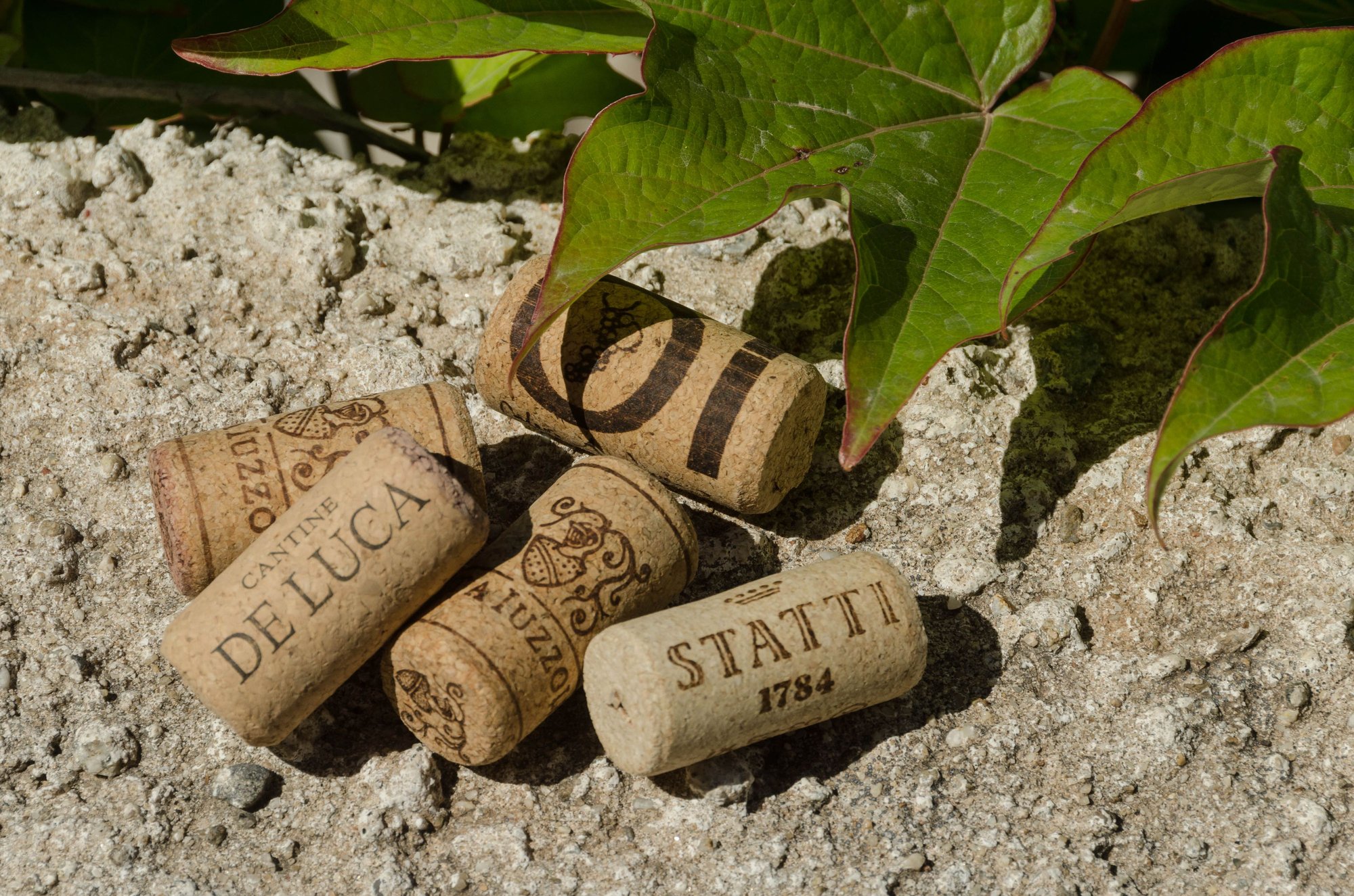 Vino? Si grazie. Ginevra immediately introduced us to her fave deli man in town (see FOOD section later)