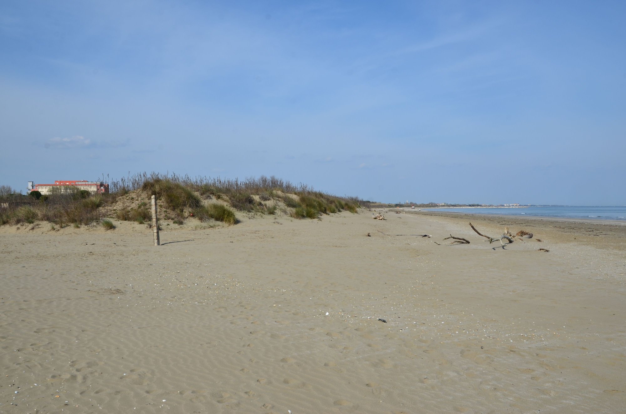 Alberoni beach