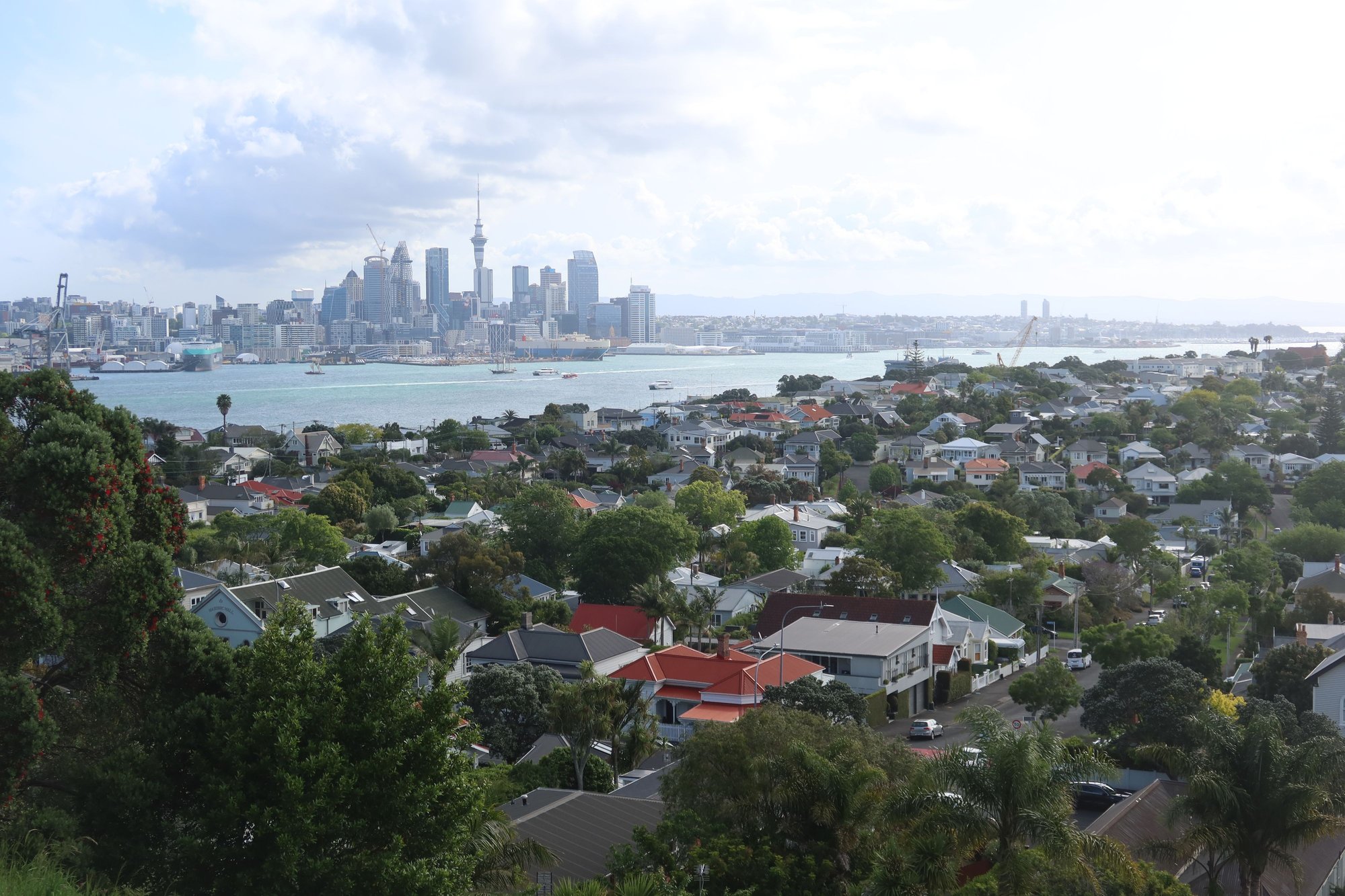 Auckland from Mount Victoria