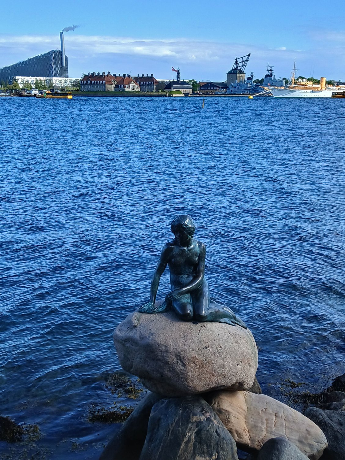 The statue is surprisingly small, and even the mermaid wore a surprised expression why the crowds seemed to be drawn to her !