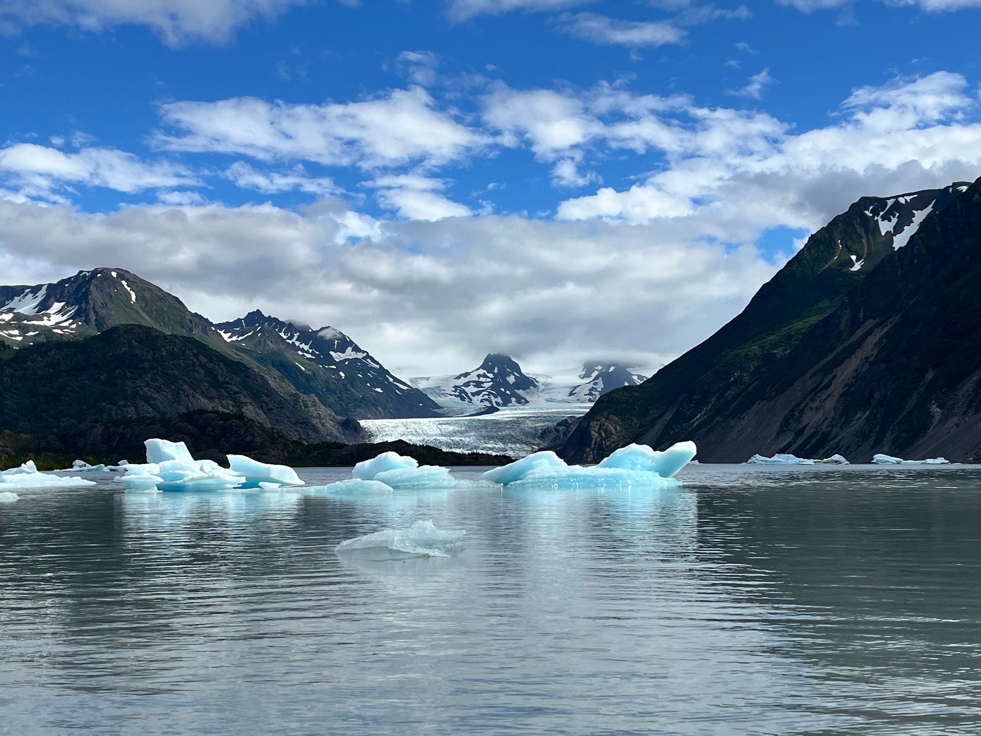 Nice blue hues from the floating ice bergs with Grewingk glacier in the background