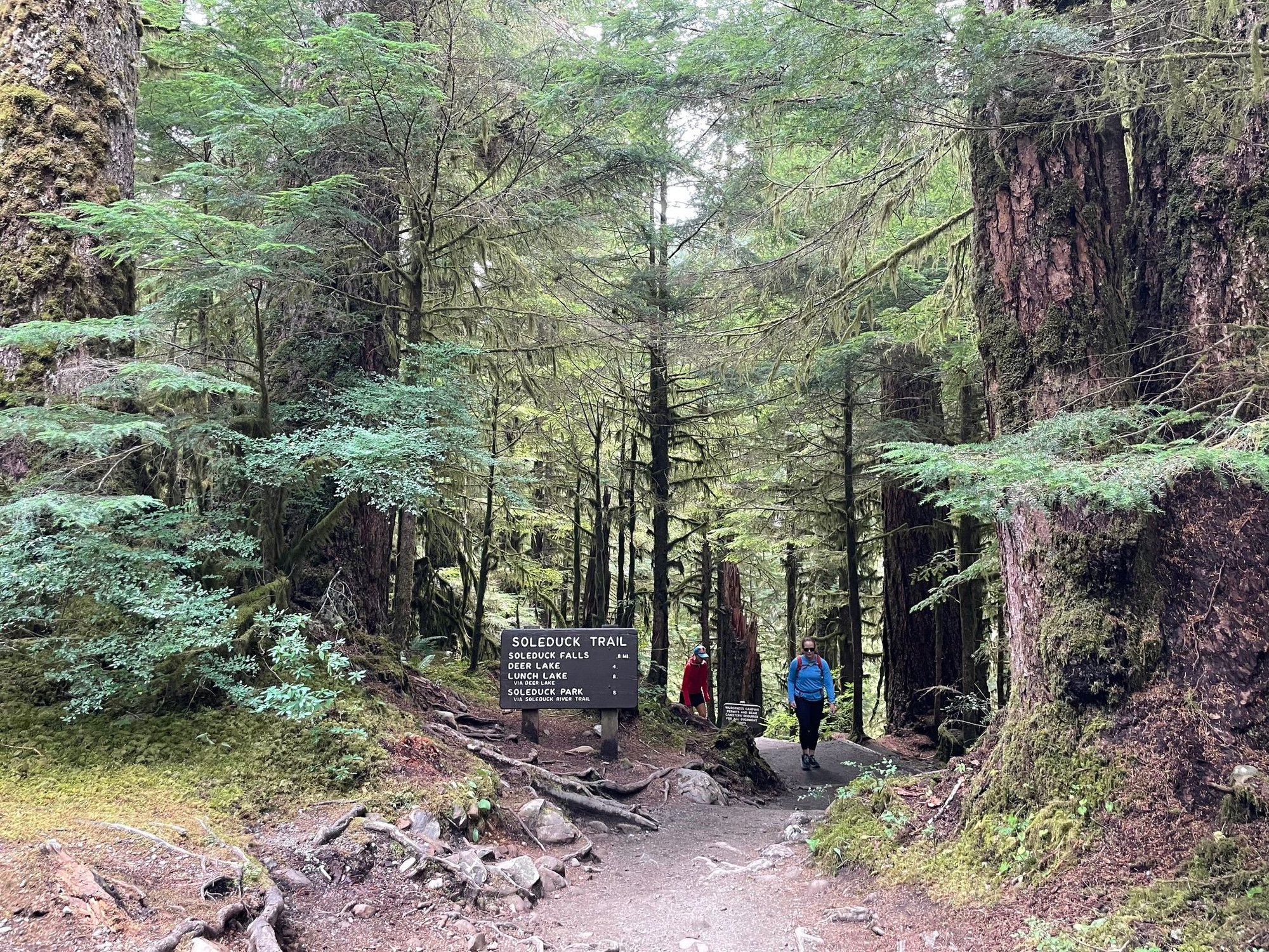 Start of the trail to the falls