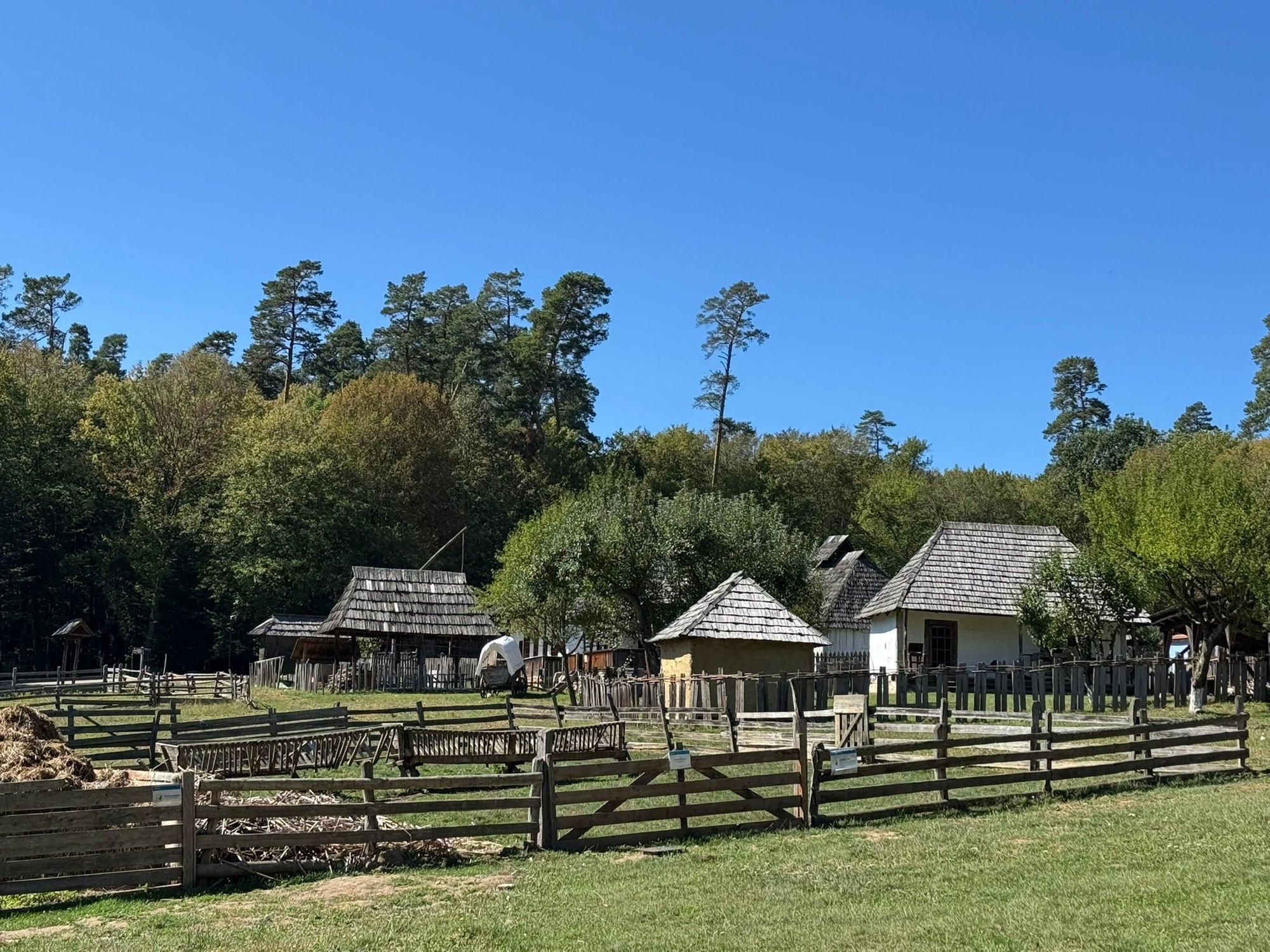 A farm